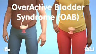 OverActive Bladder Syndrome