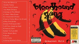 Bloodhound Gang Best SOngs - Bloodhound Gang Greatest Hits - Bloodhound Gang Full ALbum