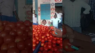 Punganur market 🍅🍅🍅 170