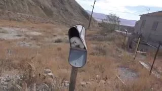 ABANDONED Real Life The Walking Dead Ghost Town Full Of Stuff