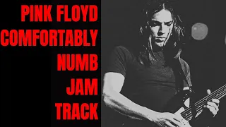 Comfortably Numb Jam Pink Floyd Style Guitar Backing Track (B Minor)
