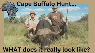 Cape Buffalo Hunt. An inside look. What makes hunting with us an unforgettable experience.