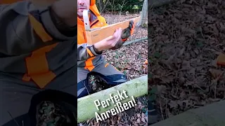 Holz-Tipp: Anreißmeter | Wood marking gadget #shorts #brennholz #firewood
