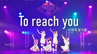 PRODUCE48 (프로듀스48) "너에게 닿기를 (To reach you)" / KPOP Dance Cover by Toppogi @追いコン2024