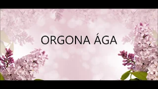 Orgona ága