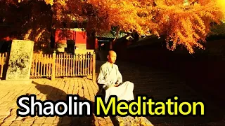 Unlocking the Secrets of Shaolin Meditation: Transcending the Limits of the Mind