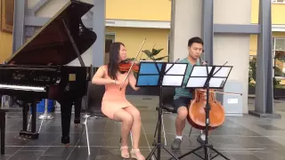 Adagio, Albinoni (Violin and Cello)