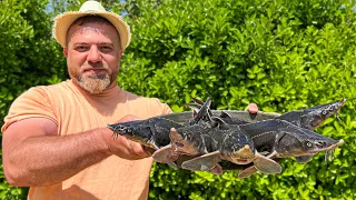 Unforgettable Kebab of 5 Fresh Caspian STURGEON Roasted whole on the Grill