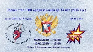 10.03.2019, Торпедо-2005 – Ижсталь-2005, второй матч