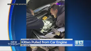 Firefighters in Rio Vista rescued a kitten from a car engine