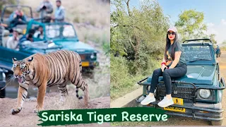 Sariska Tiger Reserve, Alwar | Jungle Safari | Ticket Price | Safari Timings 🐅🌳🌲🌴🎋