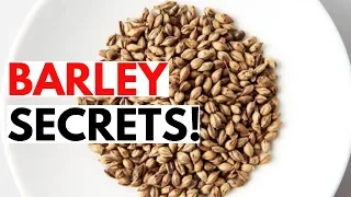 Barley | Barley Benefits For Weight Loss | Science of Barley