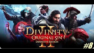 Divinity: Original Sin 2 Gameplay Walkthrough / Part 8 - Meeting Birdie and Assisting Paladin Cork