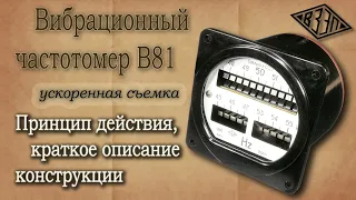 Вибрационный частотомер В81. Принцип действия, конструкция, ускоренная съемка