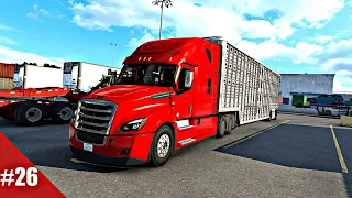 Freightliner Cascadia RR 505hp - Live Cattle Delivery || American Truck Simulator 💥
