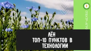 Лён. ТОП-10 пунктов в технологии выращивания льна