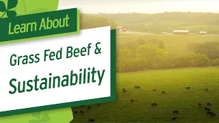 Grass Fed Beef & Sustainability