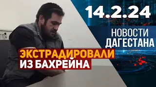 Новости Дагестана за 14.02.2024 год