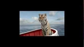 Which Story Do You Prefer (Mychael Danna - Life of Pi)