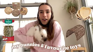 5 Bunny Toys You Have To Try