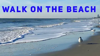 SUNRISE WALK ON THE BEACH - Virtual Walk 1 HOUR Video - Sea Waves and Sand