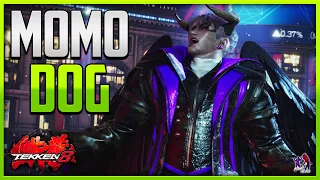 T8 ▰ More MomoDog Devil Jin Rampage !!【Tekken 8】