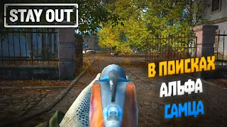 В поисках альфа самца | Stay Out (2022) #10