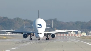 BELUGA 3 Landing & Takeoff Front View at Hamburg Airbus Plant (XFW)