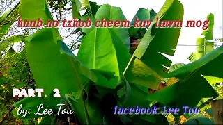 hnub no txhob cheem Kuv lawn mog. part. 2 2024-3-3