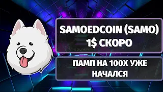 SAMOEDCOIN (SAMO) 1$ СКОРО! ПАМП НА 100X УЖЕ НАЧАЛСЯ!