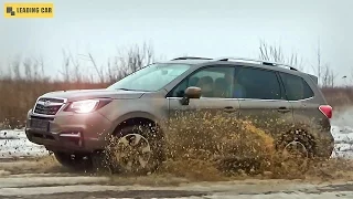 2016 Subaru Forester – Tanks of dirt are not afraid!