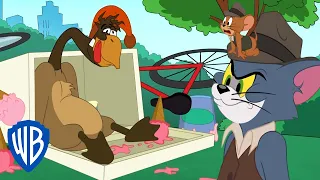 Tom i Jerry po polsku 🇵🇱 | Szalona gąska | WB Kids