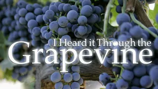 I HEARD IT THROUGH THE GRAPEVINE