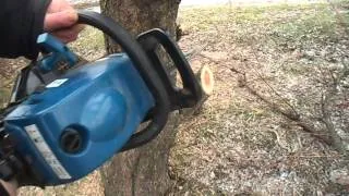 Как спилить дерево