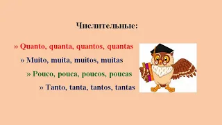 Португальский урок 43: Числительные с существительными и глаголами в португальском языке