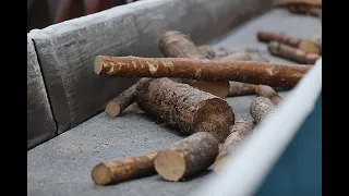 Какой он лесоподготовительный цех на Сегежском ЦБК