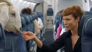 Delta Safety Video - Internet Fame