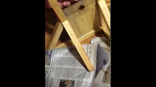 GUILLOTINE TEST