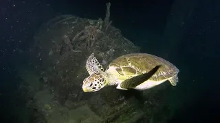 Aruba Scuba Diving - Night Dive Antilla Wreck 4K