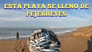 SE LLENO DE PECES ESTA PLAYA! PESCA DE PEJERREYES DESDE PLAYA! PESCON AL VUELO