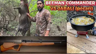 CACERIA DE JABALI CON BEEMAN COMMANDER #pcp #airgunhunting #caceria #bienpegado #cazaycocina #beeman