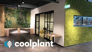 Coolplant Groene Wanden Kapenga Home Center