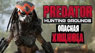 ЖЕНЩИНА ХИЩНИК НАКАЗЫВАЕТ ЛЮДЕЙ | Predator Hunting Grounds