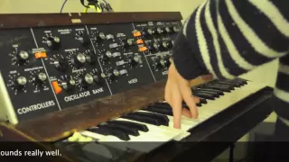 Minimoog Model D vs Moog Voyager Comparison