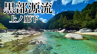 【黒部源流】岩魚の魚影は日本一⁉︎ 2泊3日山小屋泊で行く憧れの源流釣行