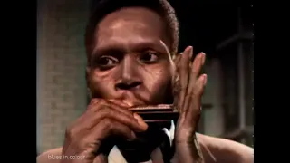 Walter 'Shakey' Horton - Shakey's Blues live [Colourised] 1965