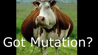 Got Mutation? Debunking milk digestion, CCR5, and Nylonaise. Max Bauer