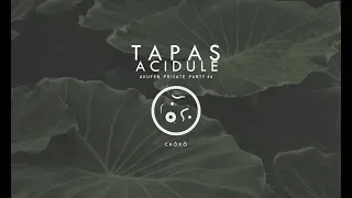 Tapas Acidulé Vol 4 - Chôkô