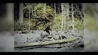 Bigfoot Real or Fake?