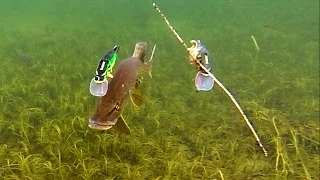 Pike attack Mike & Ricky fishing lures. Gäddfiske. Рыбалка щука атакует рыболовные приманки